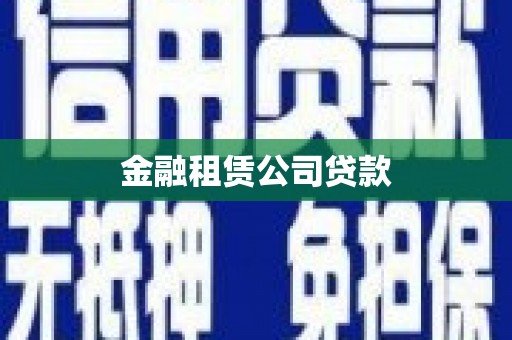 曲水金融租赁公司贷款