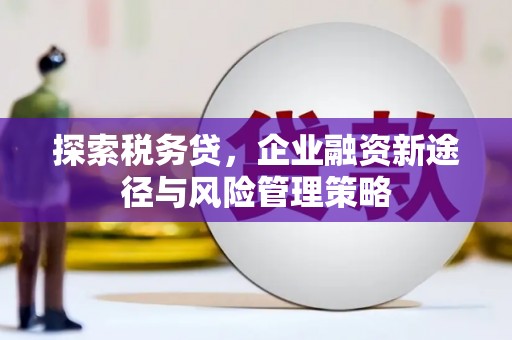 曲水探索税务贷，企业融资新途径与风险管理策略