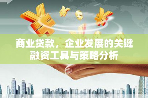 曲水商业贷款，企业发展的关键融资工具与策略分析