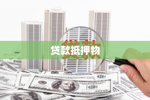 曲水贷款抵押物