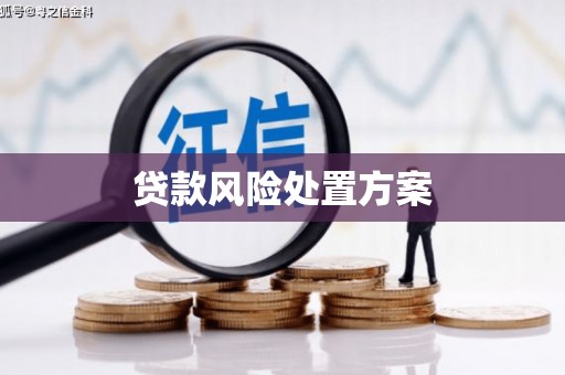 曲水贷款风险处置方案