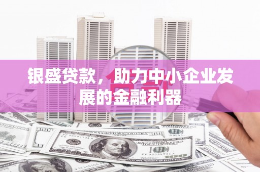 曲水银盛贷款，助力中小企业发展的金融利器