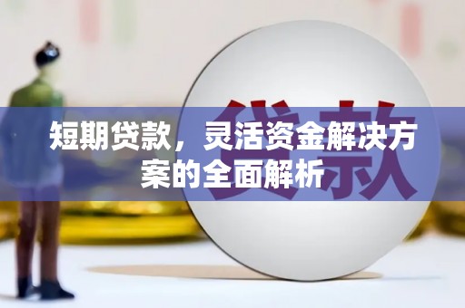曲水短期贷款，灵活资金解决方案的全面解析