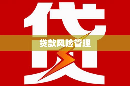 曲水贷款风险管理