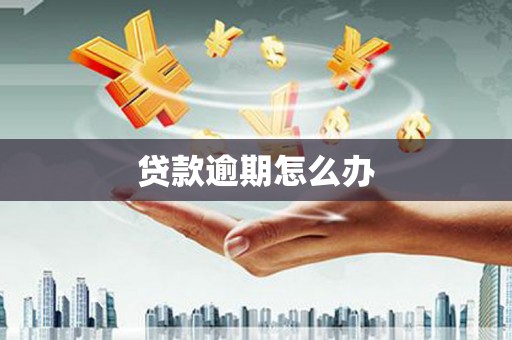 曲水贷款逾期怎么办