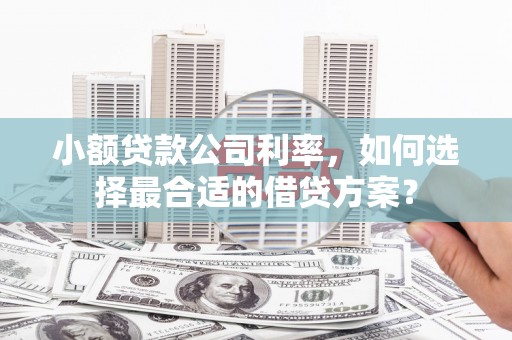曲水小额贷款公司利率，如何选择最合适的借贷方案？