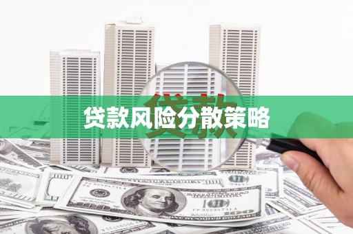 曲水贷款风险分散策略