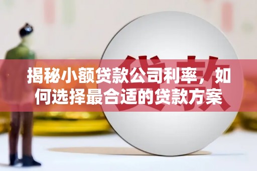 曲水揭秘小额贷款公司利率，如何选择最合适的贷款方案