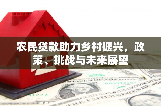 曲水农民贷款助力乡村振兴，政策、挑战与未来展望