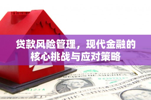 曲水贷款风险管理，现代金融的核心挑战与应对策略