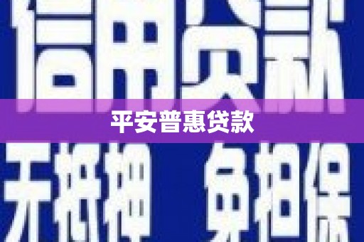 曲水平安普惠贷款