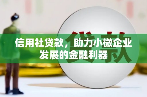 曲水信用社贷款，助力小微企业发展的金融利器