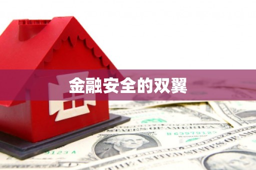 曲水金融安全的双翼
