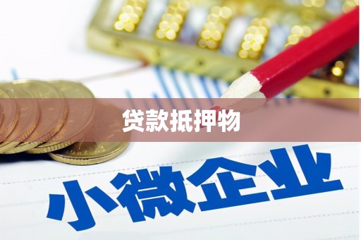 曲水贷款抵押物
