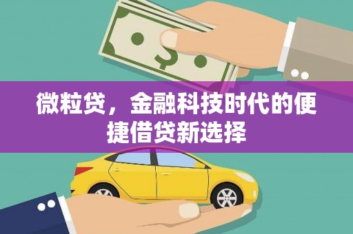 曲水微粒贷，金融科技时代的便捷借贷新选择