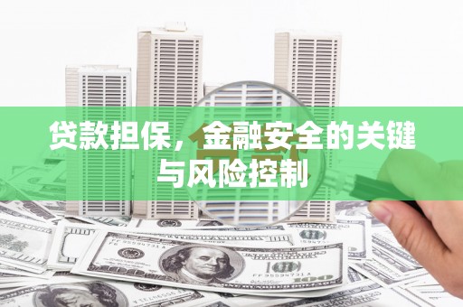 曲水贷款担保，金融安全的关键与风险控制
