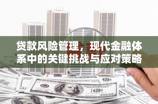 曲水贷款风险管理，现代金融体系中的关键挑战与应对策略