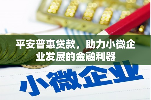 曲水平安普惠贷款，助力小微企业发展的金融利器
