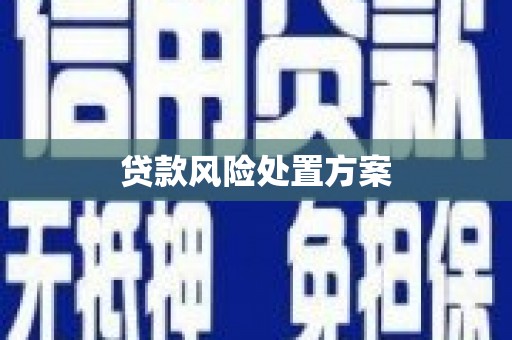 曲水贷款风险处置方案