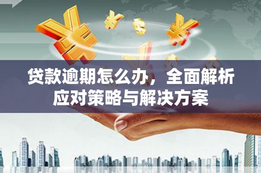 曲水贷款逾期怎么办，全面解析应对策略与解决方案