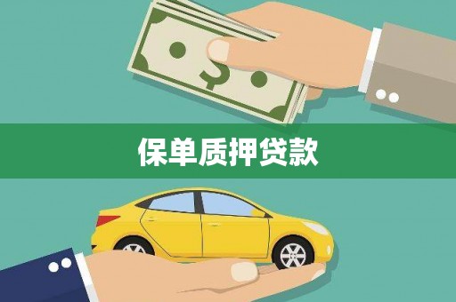 曲水保单质押贷款
