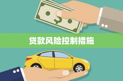 曲水贷款风险控制措施