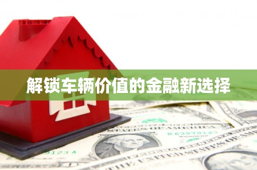 曲水解锁车辆价值的金融新选择