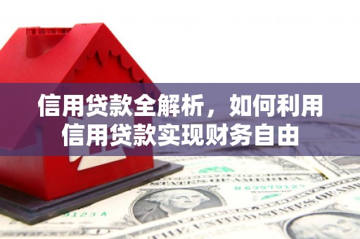曲水信用贷款全解析，如何利用信用贷款实现财务自由