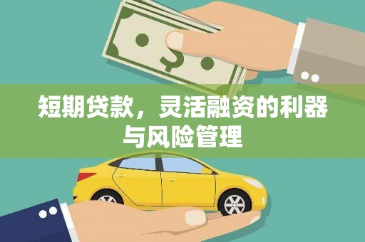 曲水短期贷款，灵活融资的利器与风险管理