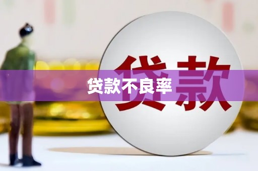 曲水贷款不良率