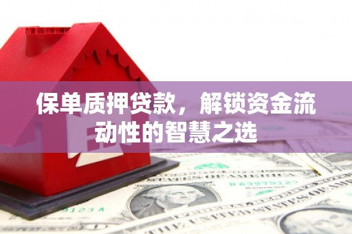 曲水保单质押贷款，解锁资金流动性的智慧之选