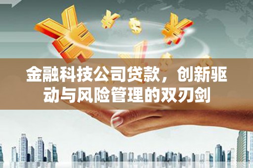 曲水金融科技公司贷款，创新驱动与风险管理的双刃剑