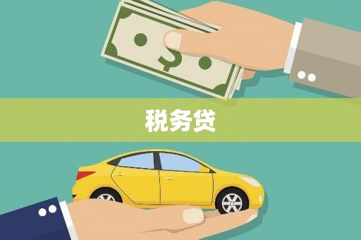 曲水税务贷